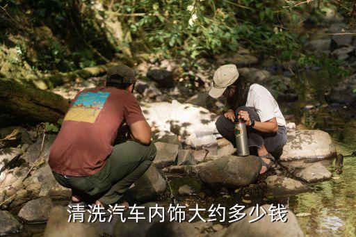 清洗汽车内饰大约多少钱