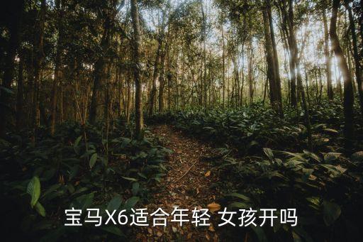 宝马X6适合年轻 女孩开吗