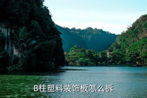 B柱塑料装饰板怎么拆