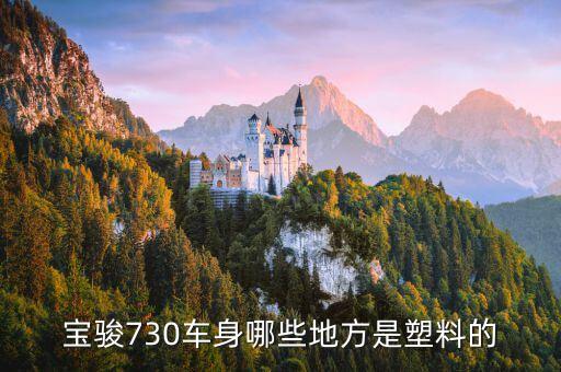 宝骏730车身哪些地方是塑料的