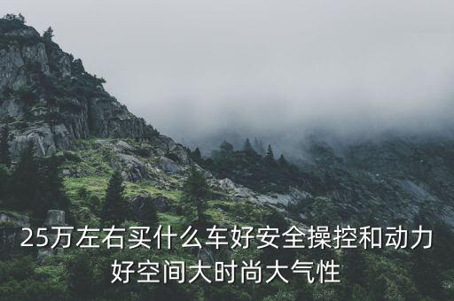 25万左右买什么车好安全操控和动力好空间大时尚大气性