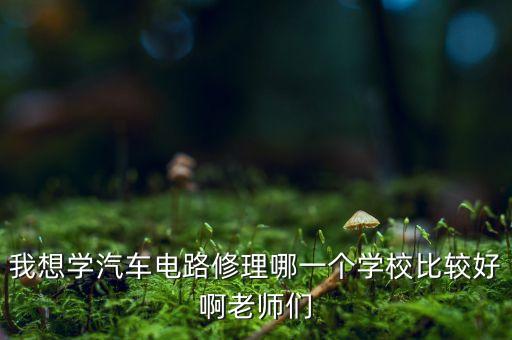 我想学汽车电路修理哪一个学校比较好啊老师们