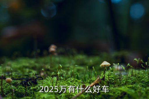 2025万有什么好车