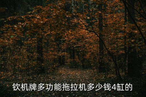 钦机四驱爬山王农用车，钦机牌多功能拖拉机多少钱4缸的