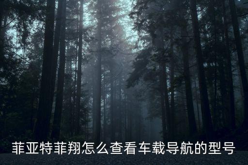 菲亚特菲翔怎么查看车载导航的型号