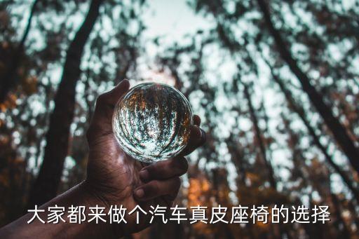 汽车真皮座椅图片大全集，大家都来做个汽车真皮座椅的选择