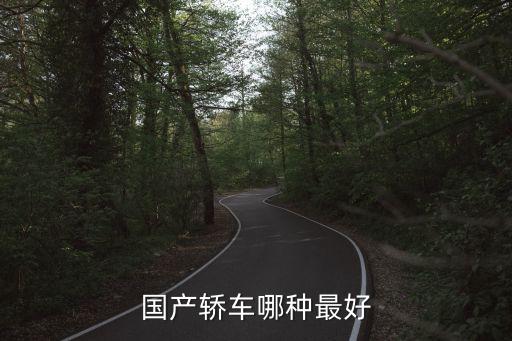 2020国产家用车推荐，性能强配置高有面子的国产轿车该如何选择