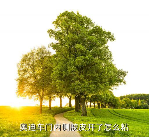 奥迪车门内侧胶皮开了怎么粘