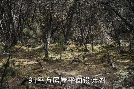 平房设计图及效果图，农村平房装修效果图