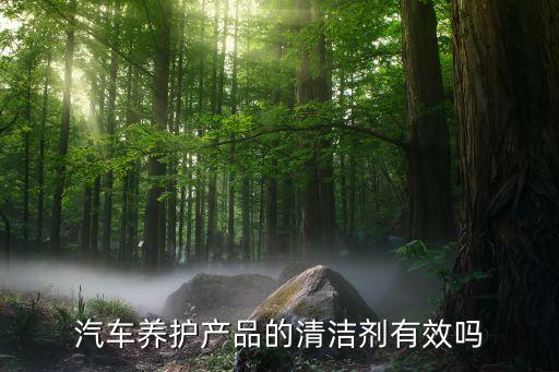 汽车养护产品的清洁剂有效吗