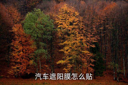 汽车车窗遮阳布，车窗上的太阳膜