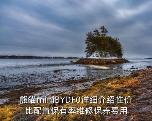 熊猫miniBYDF0详细介绍性价比配置保有率维修保养费用