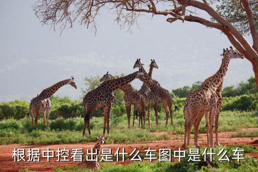 根据中控看出是什么车图中是什么车