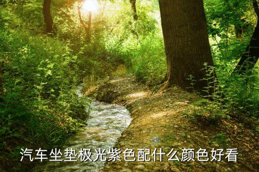 汽车座椅颜色搭配图片 效果图，汽车座套该如何选择颜色