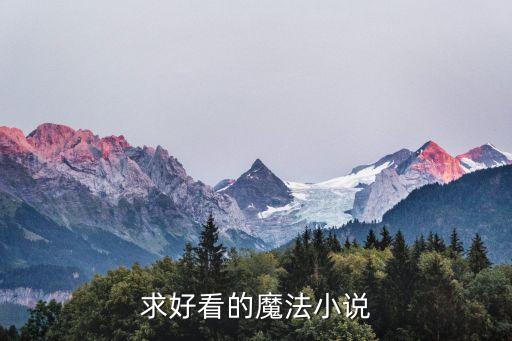 岚图汽车功能介绍，日照的交通