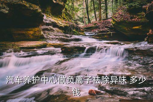 汽车养护中心做负离子祛除异味 多少钱