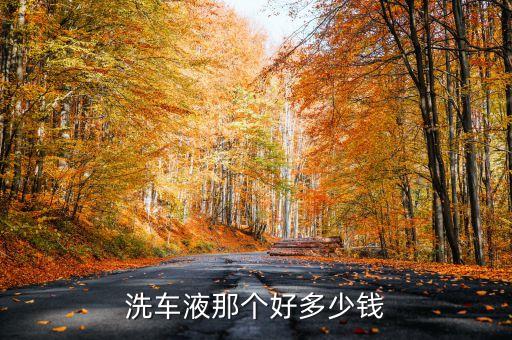 洗车液那个好多少钱
