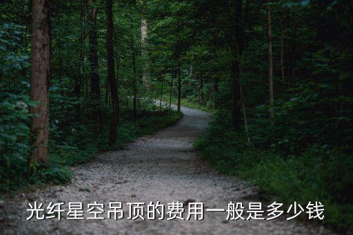 星空吊顶多少钱一个平方，思域改个星空顶要多少钱