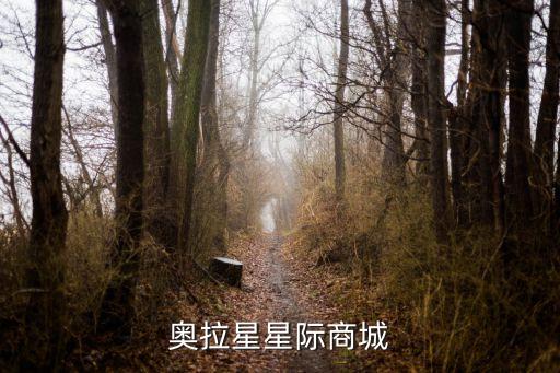 奥拉星星际商城