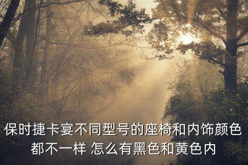 保时捷卡宴不同型号的座椅和内饰颜色都不一样 怎么有黑色和黄色内