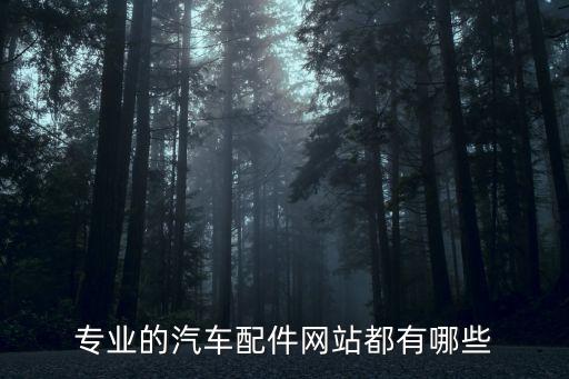 专业的汽车配件网站都有哪些
