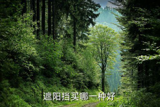 遮阳挡买哪一种好