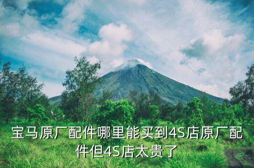 宝马原厂配件哪里能买到4S店原厂配件但4S店太贵了