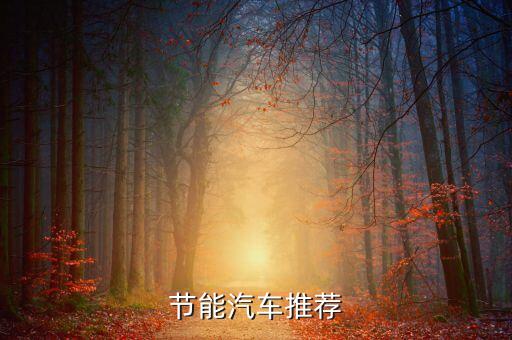 销量排行榜新能源汽车，节能汽车推荐