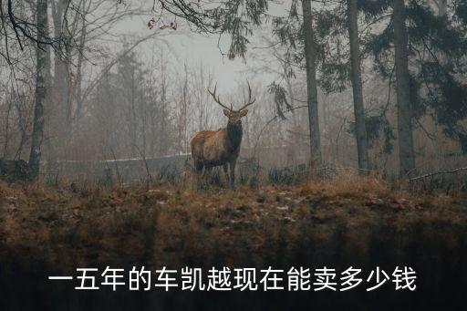 二手车报价，2007年经典一汽大众宝来手动档跑了45万公里现在价值多少