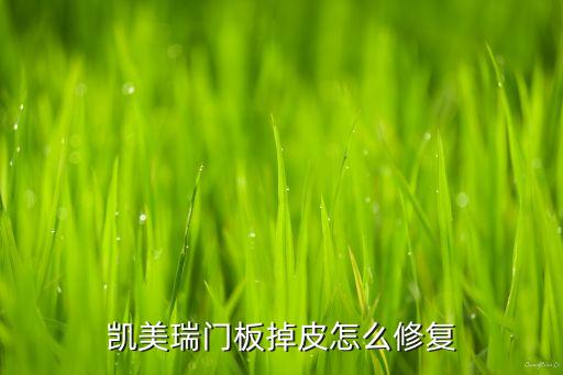 凯美瑞门板掉皮怎么修复