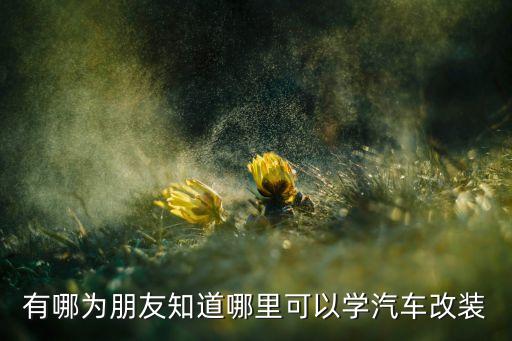 有哪为朋友知道哪里可以学汽车改装