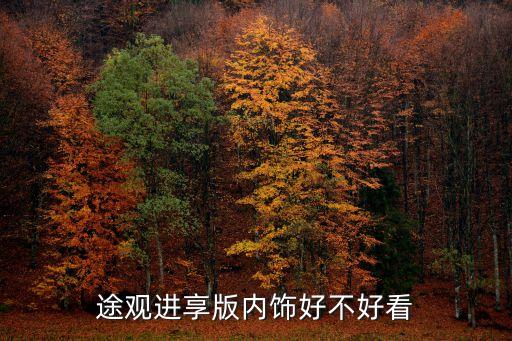 途观进享版内饰好不好看