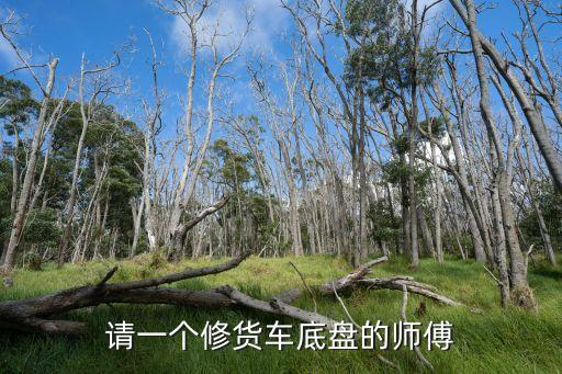 请一个修货车底盘的师傅