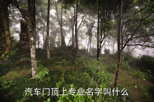汽车门顶上专业名字叫什么