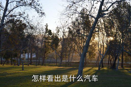 如何查是什么车，知道车牌号请问能查询是什么牌子的车吗怎么查