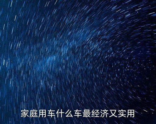家庭用车什么车最经济又实用