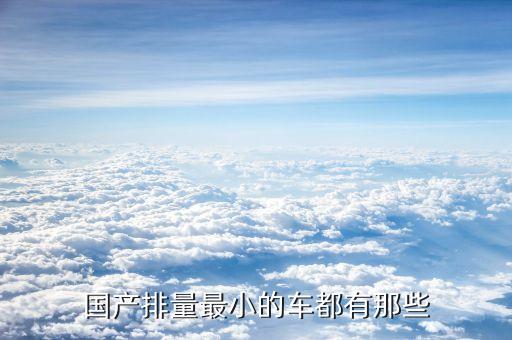 国产排量最小的车都有那些