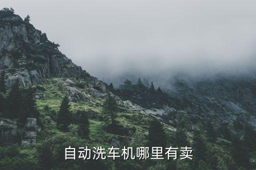 洗车机批发市场，车载洗车机在哪里批发