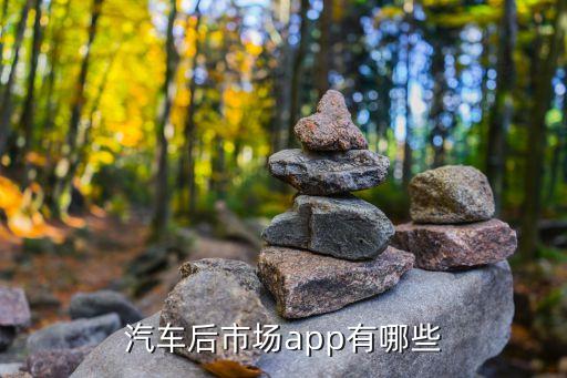 车必装市场app，汽车后市场app有哪些