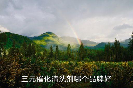 最好的三元催化清洗剂，三元催化清洗剂哪个品牌好