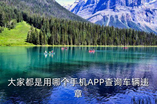 查询车辆违章app，谁有好的查询违章的APP推荐一下