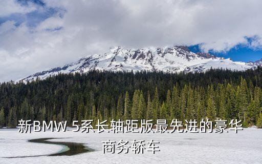 新BMW 5系长轴距版最先进的豪华商务轿车