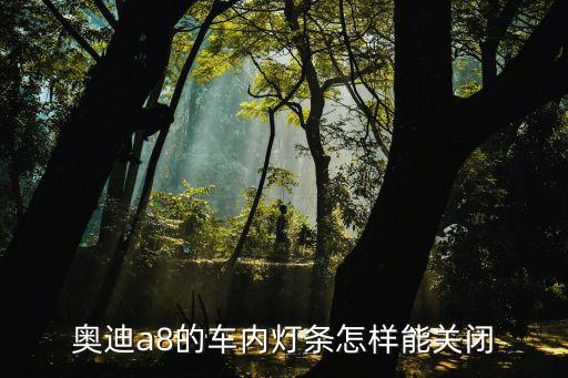奥迪a8的车内灯条怎样能关闭
