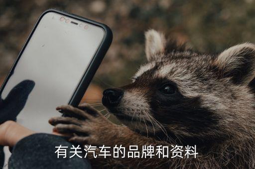 有关汽车的品牌和资料