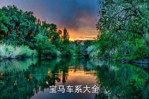 宝马车辆内饰图片，求宝马730li豪华型黑色内饰图片