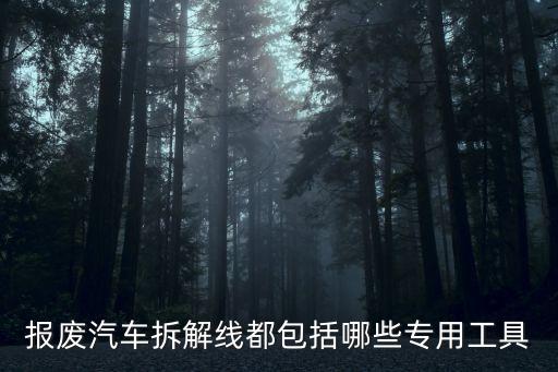 报废汽车拆解线都包括哪些专用工具