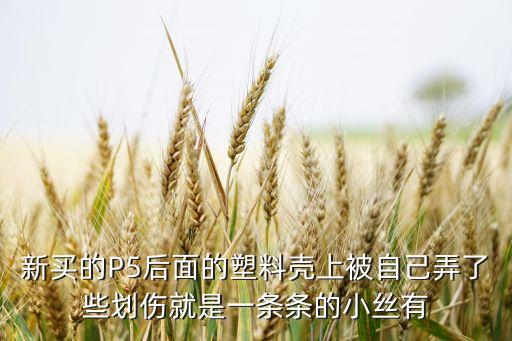 新买的P5后面的塑料壳上被自己弄了些划伤就是一条条的小丝有