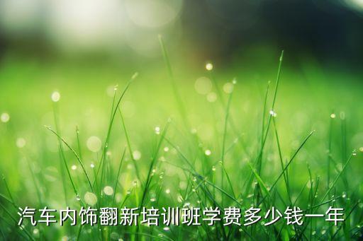 成都汽车内饰翻新修复培训，汽车内饰翻新喷漆去哪里学