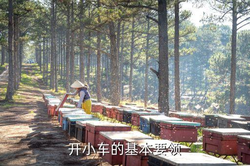 小轿车驾驶技巧视频，小轿车的开法