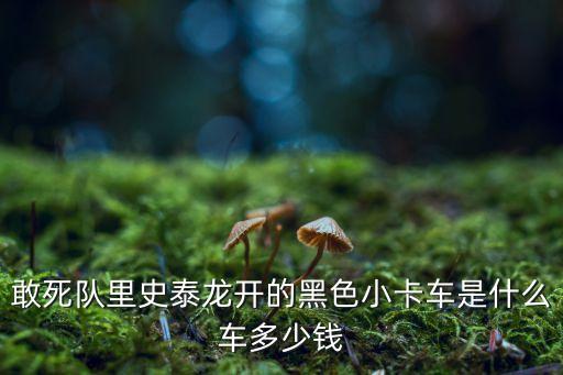 敢死队里史泰龙开的黑色小卡车是什么车多少钱